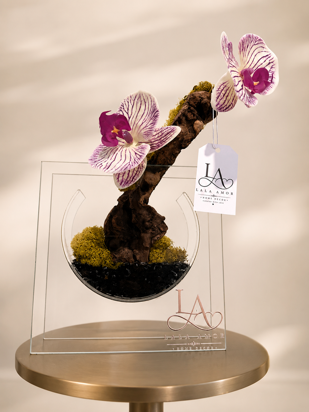 Orchid Grace