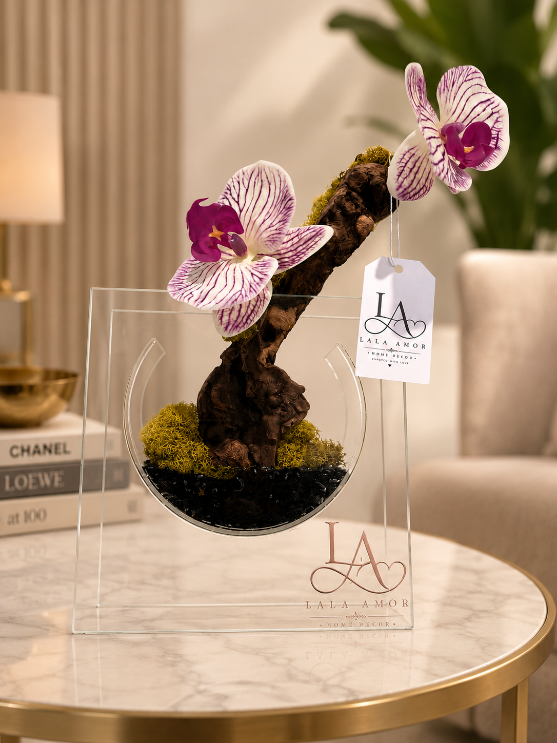 Orchid Grace