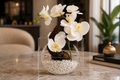 Amor Bloom - Signature Arrangement