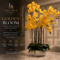 Golden Bloom - Signature Orchid Arrangement