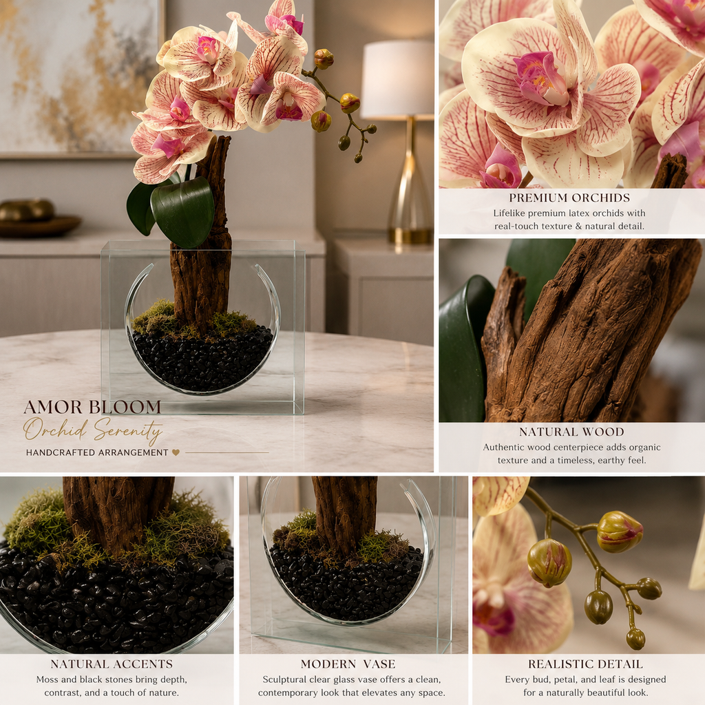 Amor Bloom – Orchid Serenity.